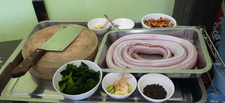 Как правильно пожарить змею рецепты из Таиланда