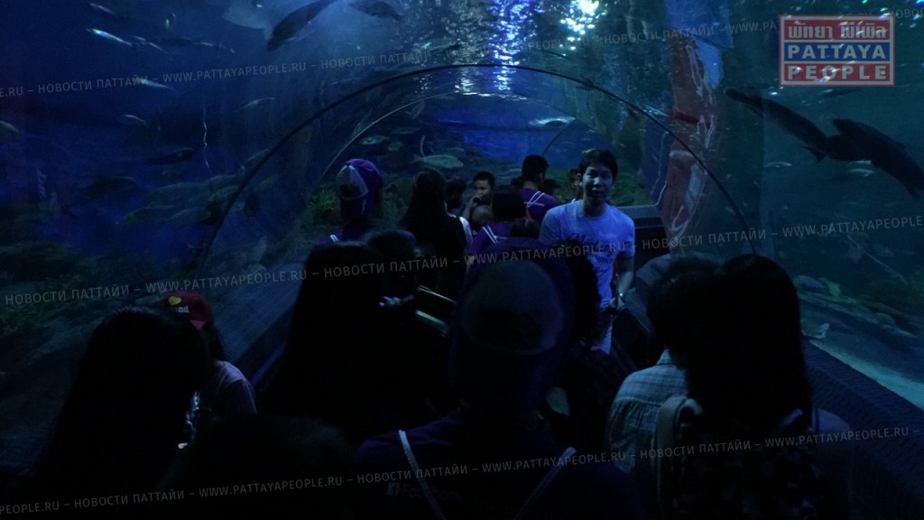 Путешествие в океанариум Underwater World в Паттайе