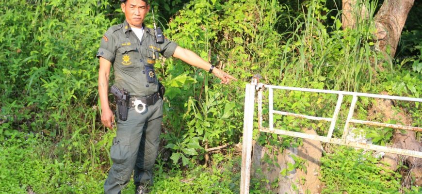В Национальном парке в Таиланде незаконно выращивают грибы