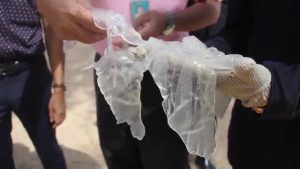 медузы в Паттайе