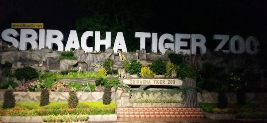 В тигровом зоопарке пропала туристка из Китая