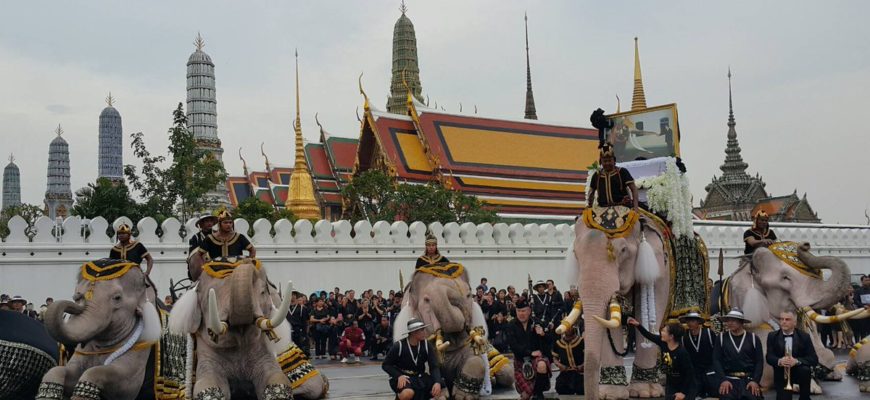Белые слоны Аюттхаи прощаются с Королем Таиланда