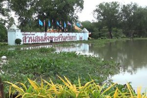 Из-за наводнения в Таиланде из зоопарка сбежали крокодилы