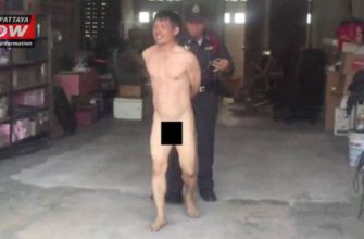 Таец арестован за секс с коровой