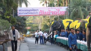Таиланд отмечает день Слона