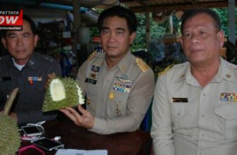 В Таиланде арестовали фермера за незрелые дурианы