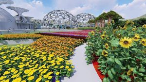 Цветочный парк Flower Land в Паттайе