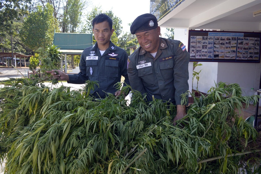 корея легализация марихуаны