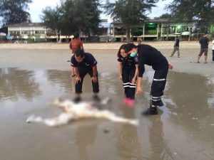 Два обезглавленных тела нашли на пляже возле Паттайи