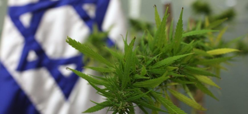Таиланд отправил делегацию в Израиль, чтобы научиться выращивать марихуану