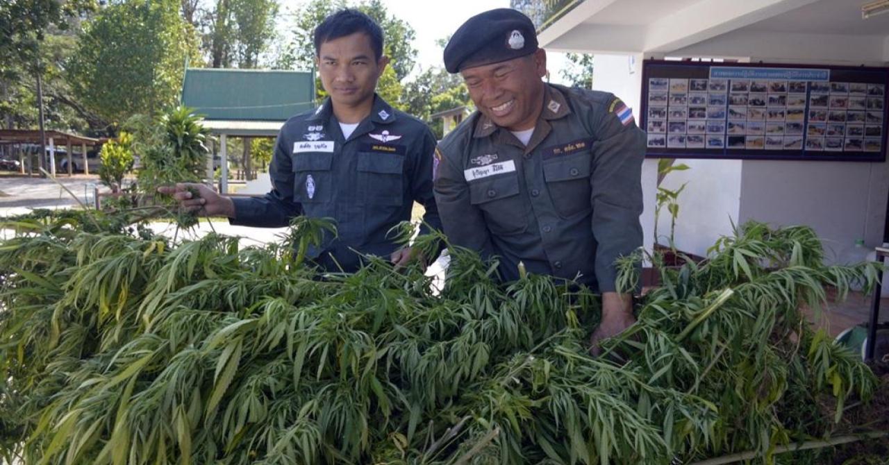 наказание за марихуану в тайланде