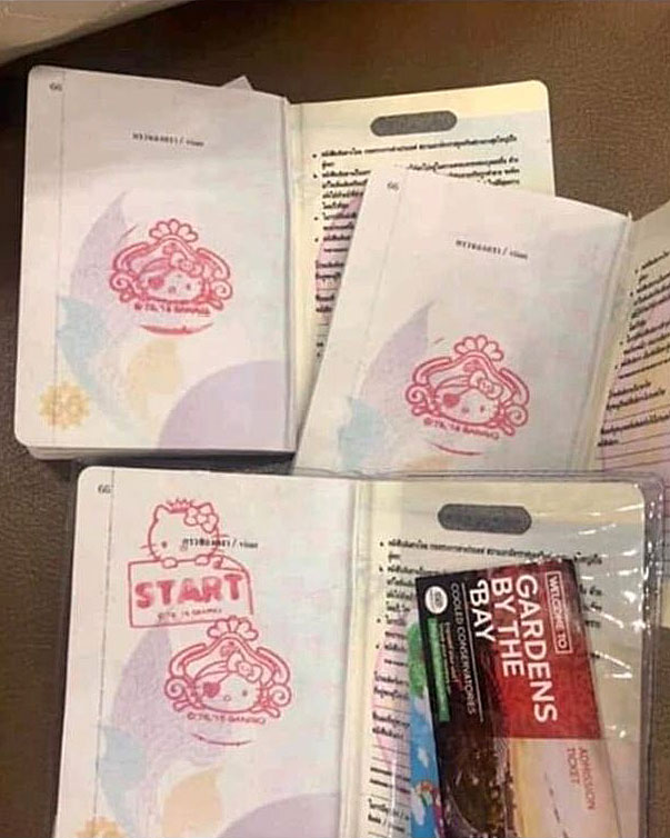 В Таиланде пассажирам отказали в посадке на рейс из-за Hello Kitty в паспорте