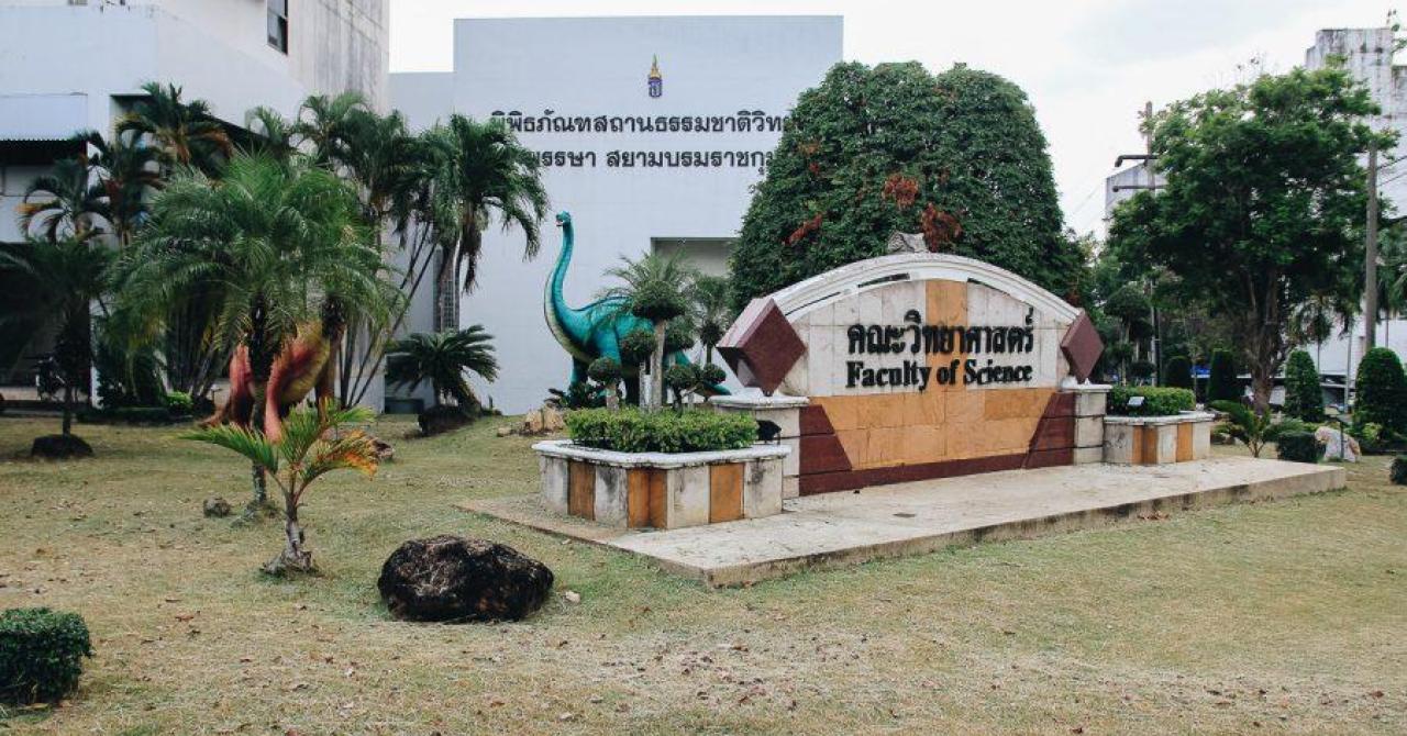 Музей естествознания в Таиланде - рекомендую посмотреть