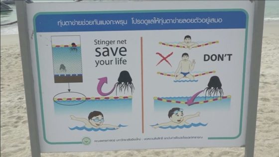 В Таиланде встреча с медузой закончилась плачевно для 10-летнего мальчика из России