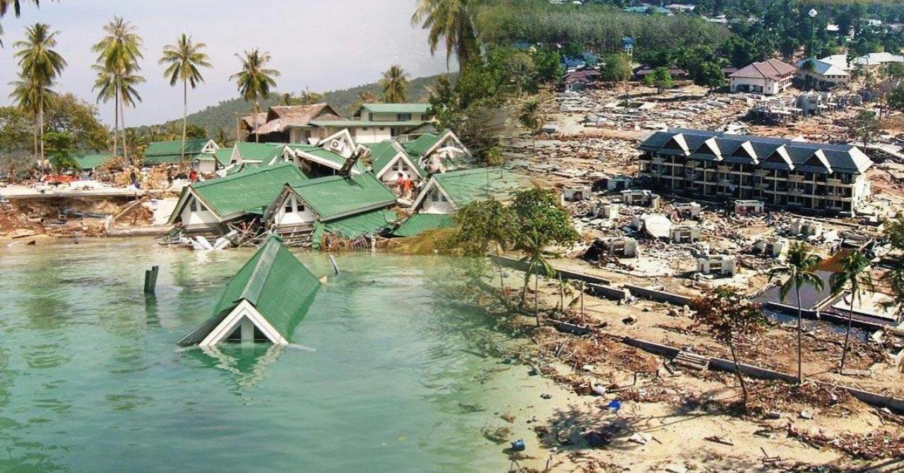 Погибшие цунами таиланд