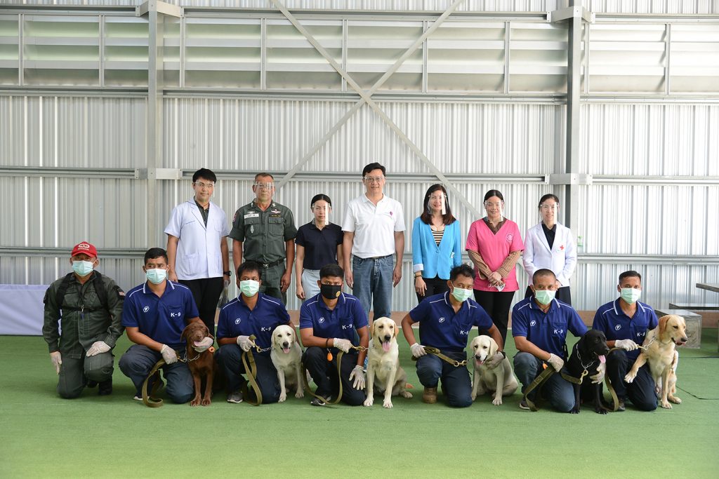 Собак в Таиланде обучают вынюхивать Covid-19