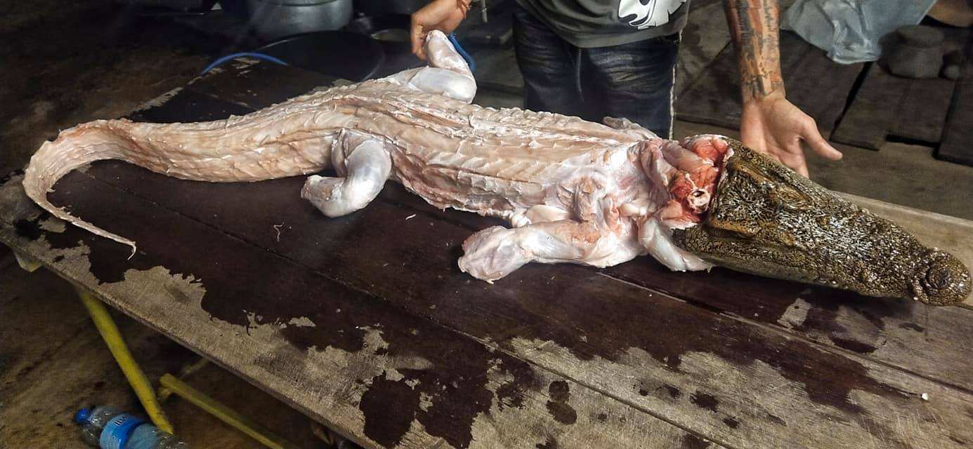 В Таиланде дорогую свинину заменяют дешёвым мясом крокодила