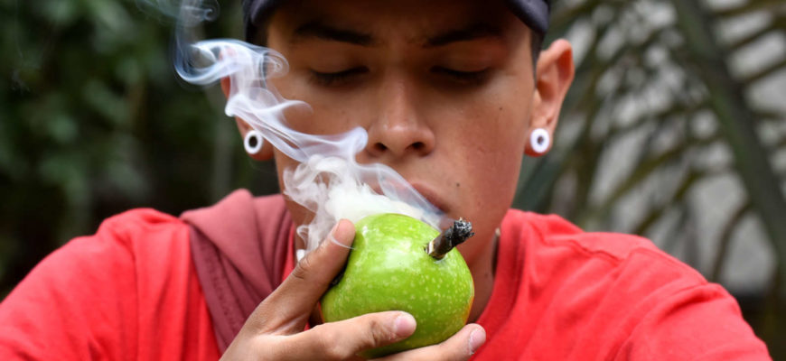 Разрешено курение марихуаны можно ли вырастить дикую коноплю хорошей