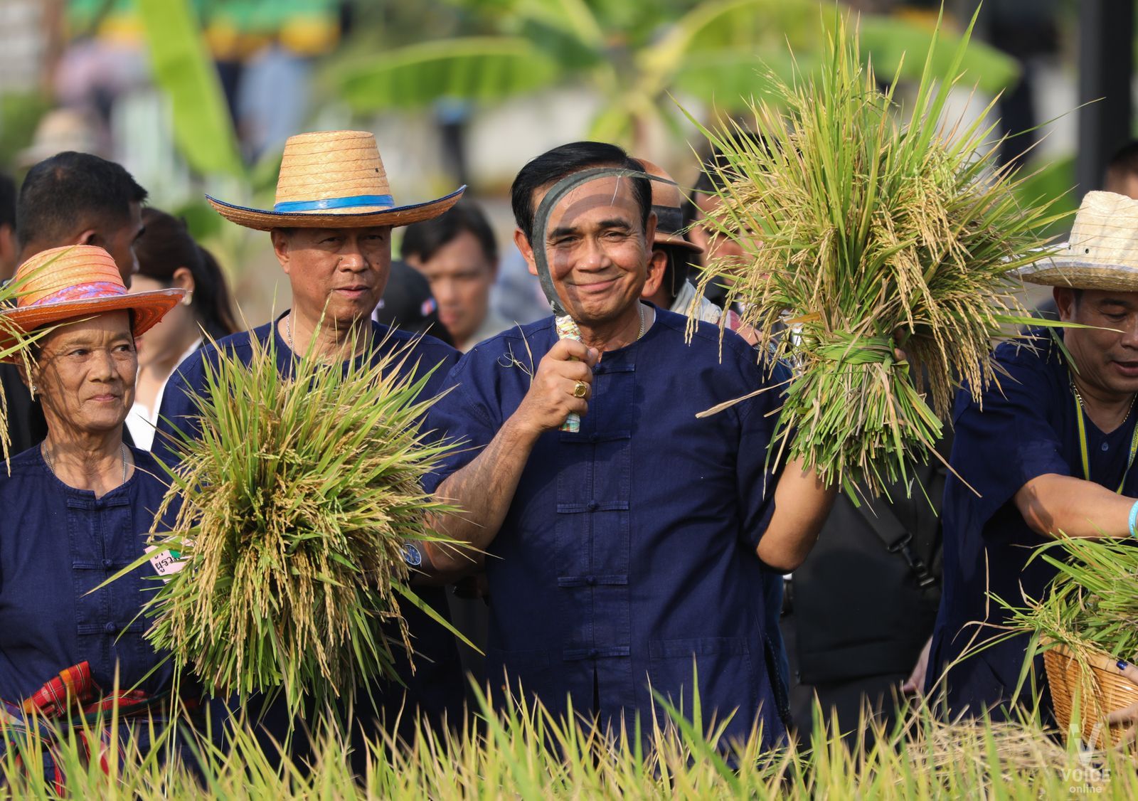 Таиланд отправил первые крупные партии риса в Россию