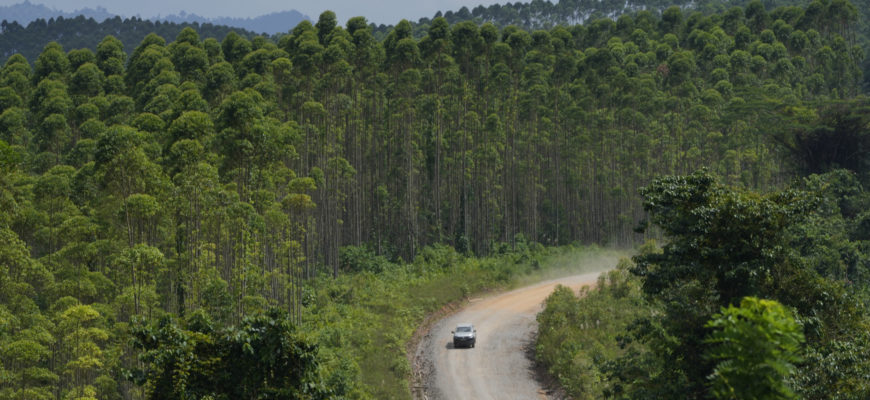 Автомобиль едет по грунтовой дороге на месте строительства новой столицы в Пенаджам Пасер Утара, Восточный Калимантан, Индонезия (Фото Ассошиэйтед Пресс / Ахмад Ибрагим).