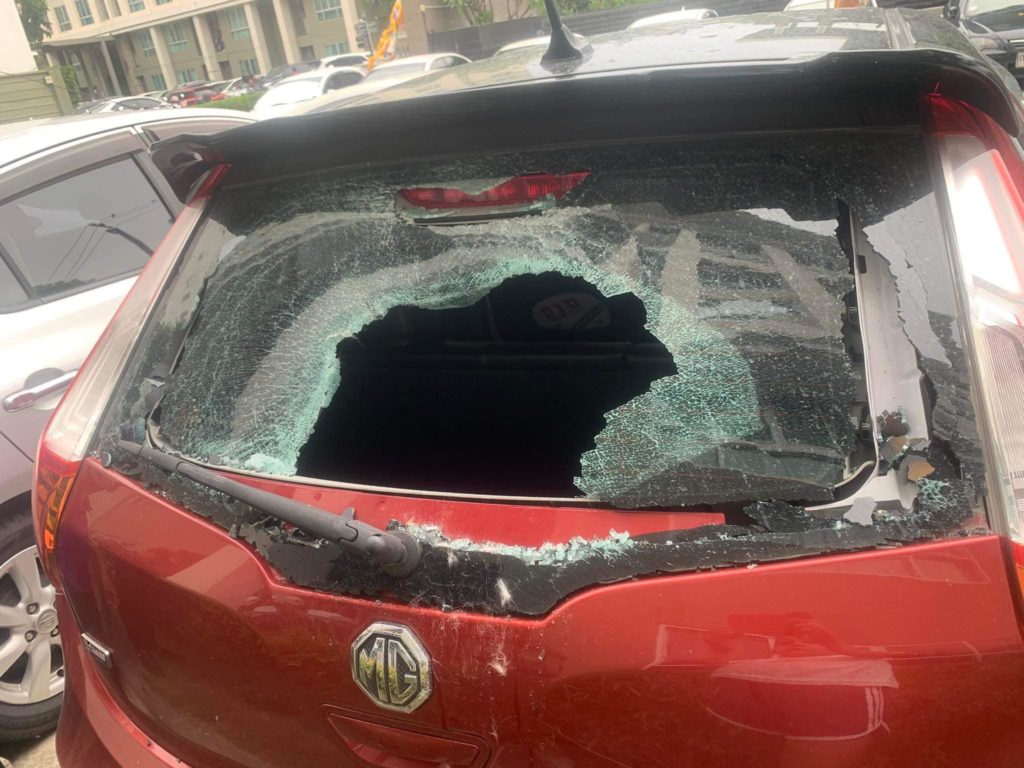Упавший с высоты кот пробил стекло автомобиля в Бангкоке