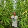 Руководитель общественной сети производителей марихуаны в Накхонпханоме доктор Банчоб Промса.