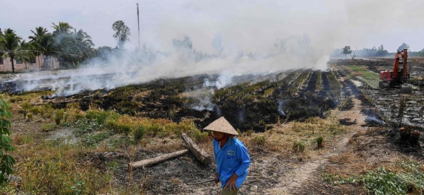 Фермер, проходящий мимо горящей соломенной стерни на рисовом поле в Кан Тхо, Вьетнам. Фото: AFP