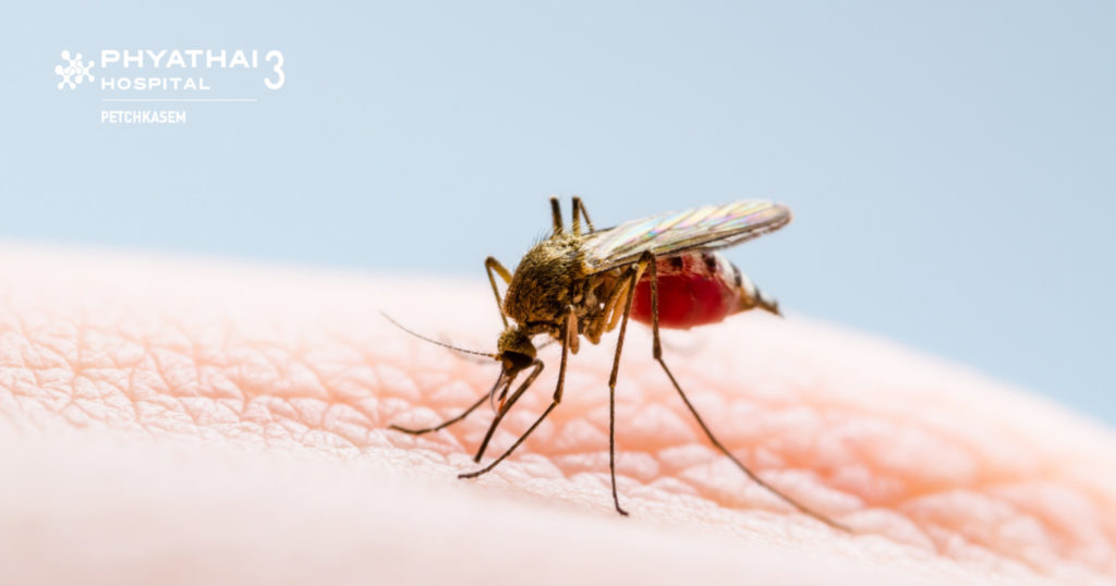 Резкий скачок заболеваний лихорадкой денге в Таиланде