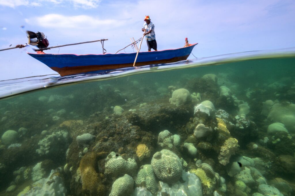 Отцветшие кораллы видны на рифе острова Мак в провинции Трат. В этом году погода в стране зафиксировала самую высокую температуру — 44,2 градуса Цельсия, что отразилось и на температуре морской воды (Рейтер / Напат Уэшасартар)